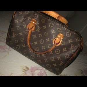 Louis Vuitton Speedy 25 Bag